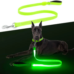 ChalkLit LED dog leash night-visibility showcases bright safety for evening walks