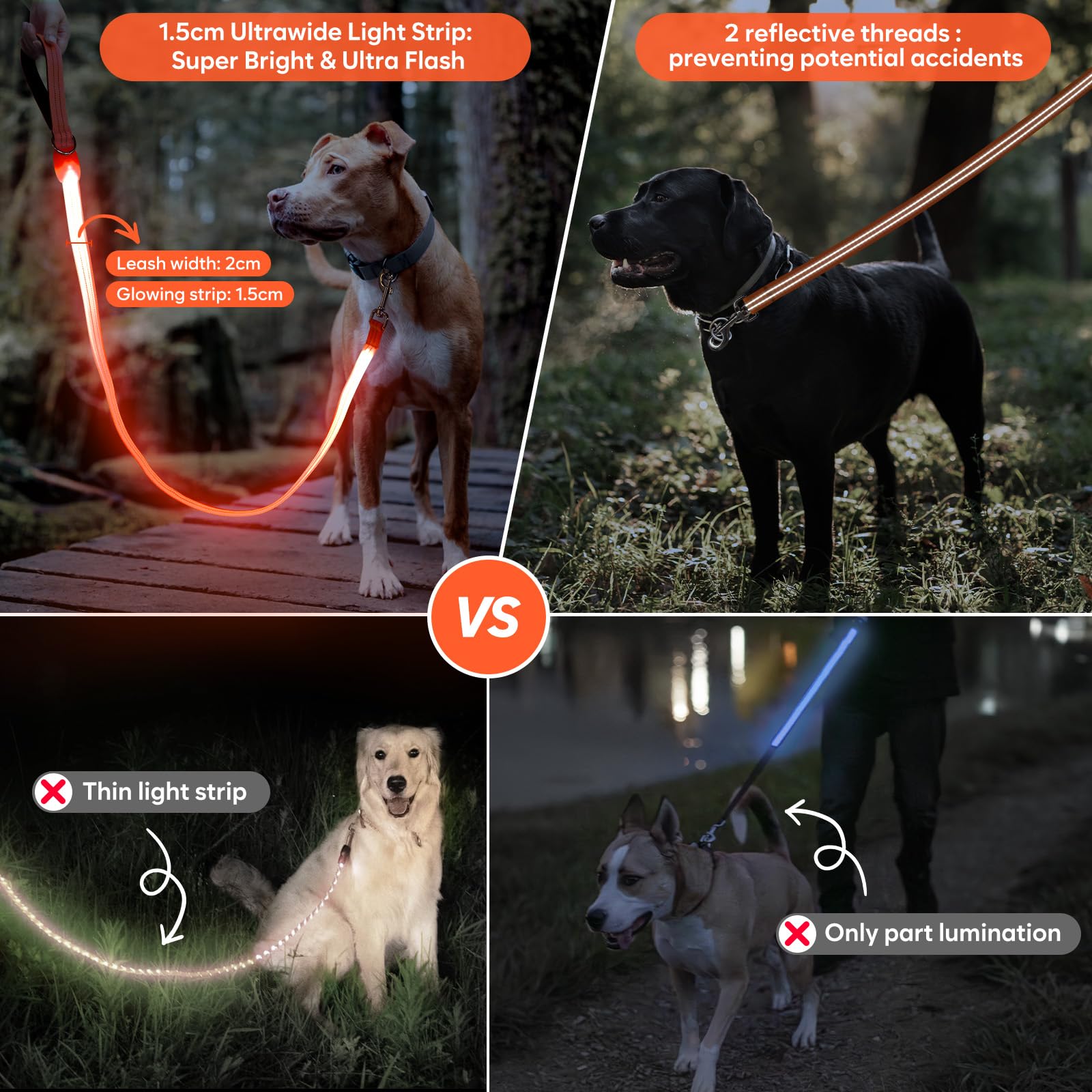 ChalkLit LED dog leash in use during a night walk boosts visibility.