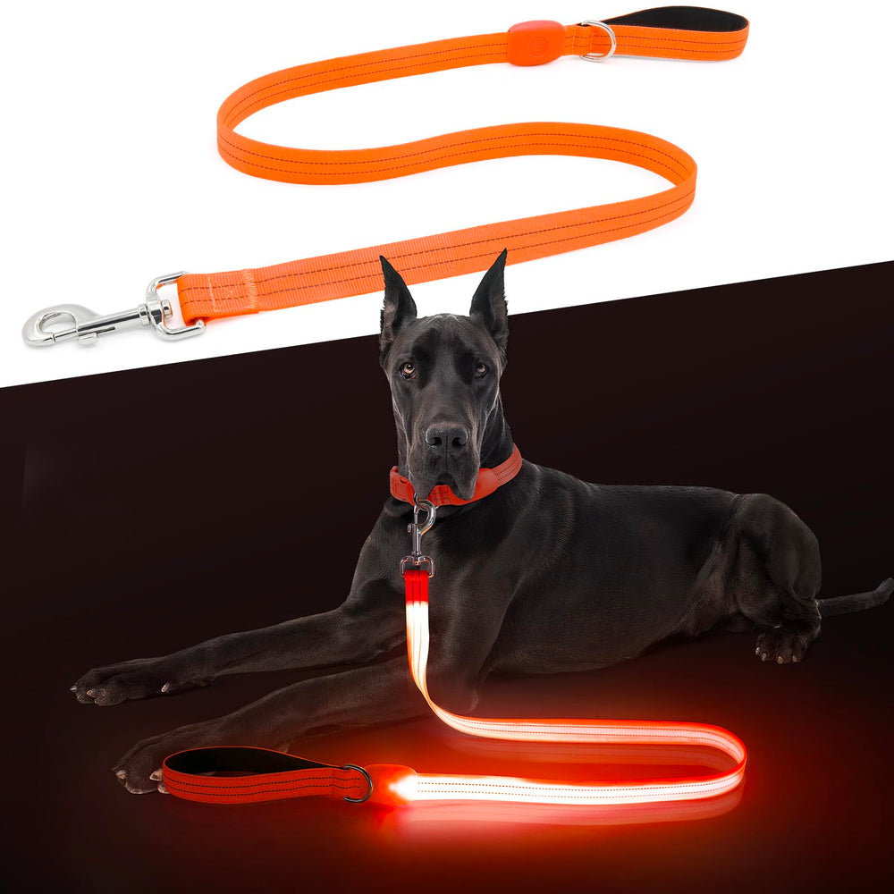 ChalkLit LED dog leash emits orange glow for safer night walks.