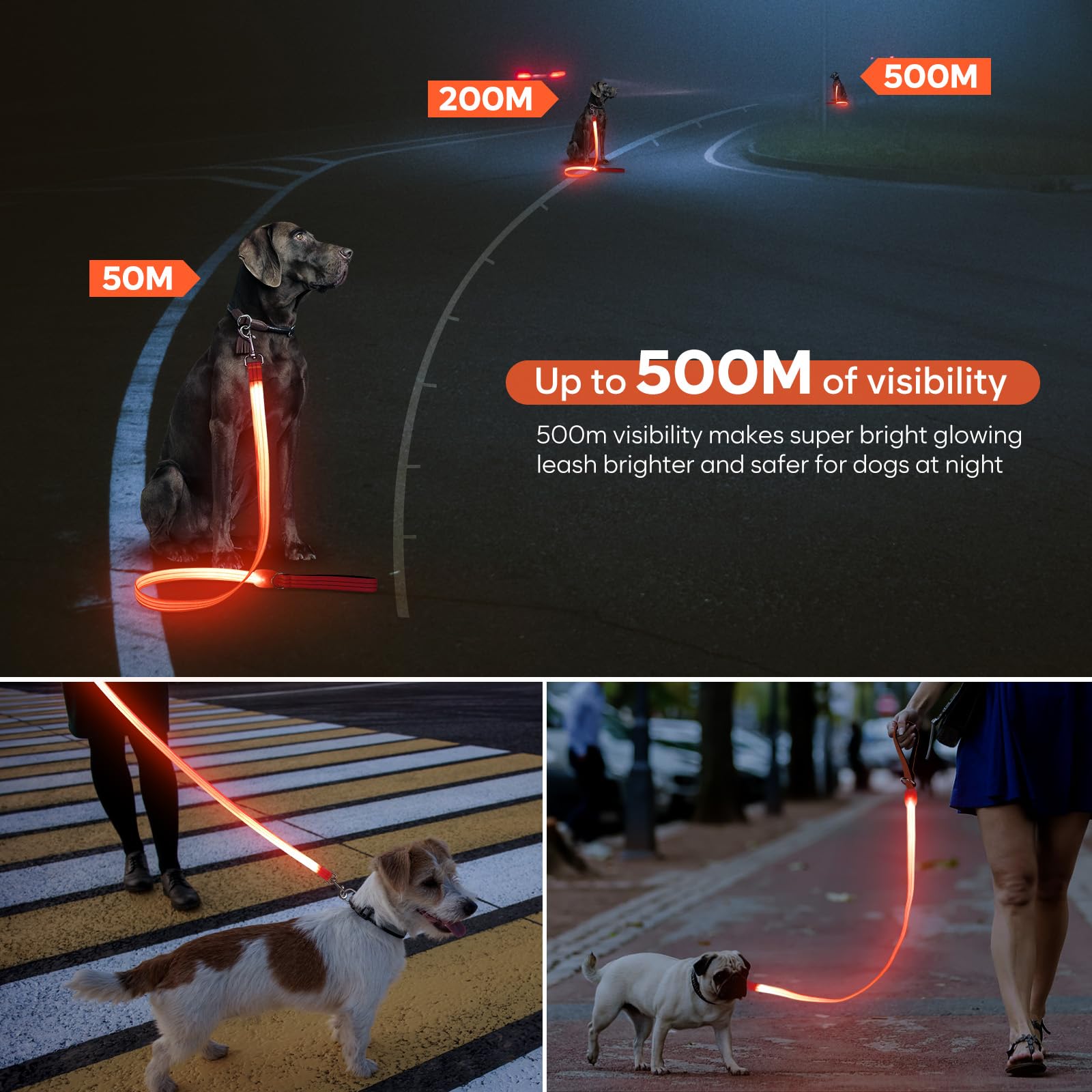 ChalkLit LED dog leash with padded handle for comfortable grip.
