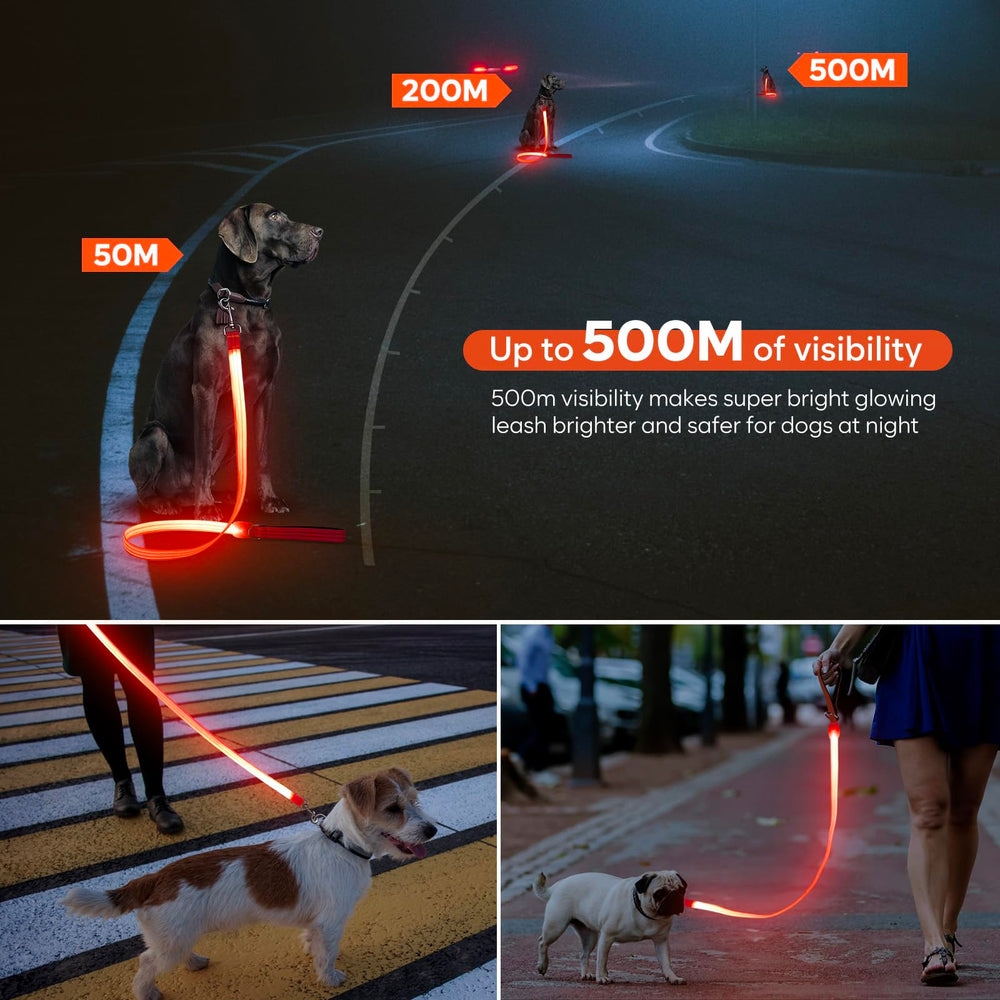 ChalkLit LED dog leash with padded handle for comfortable grip.