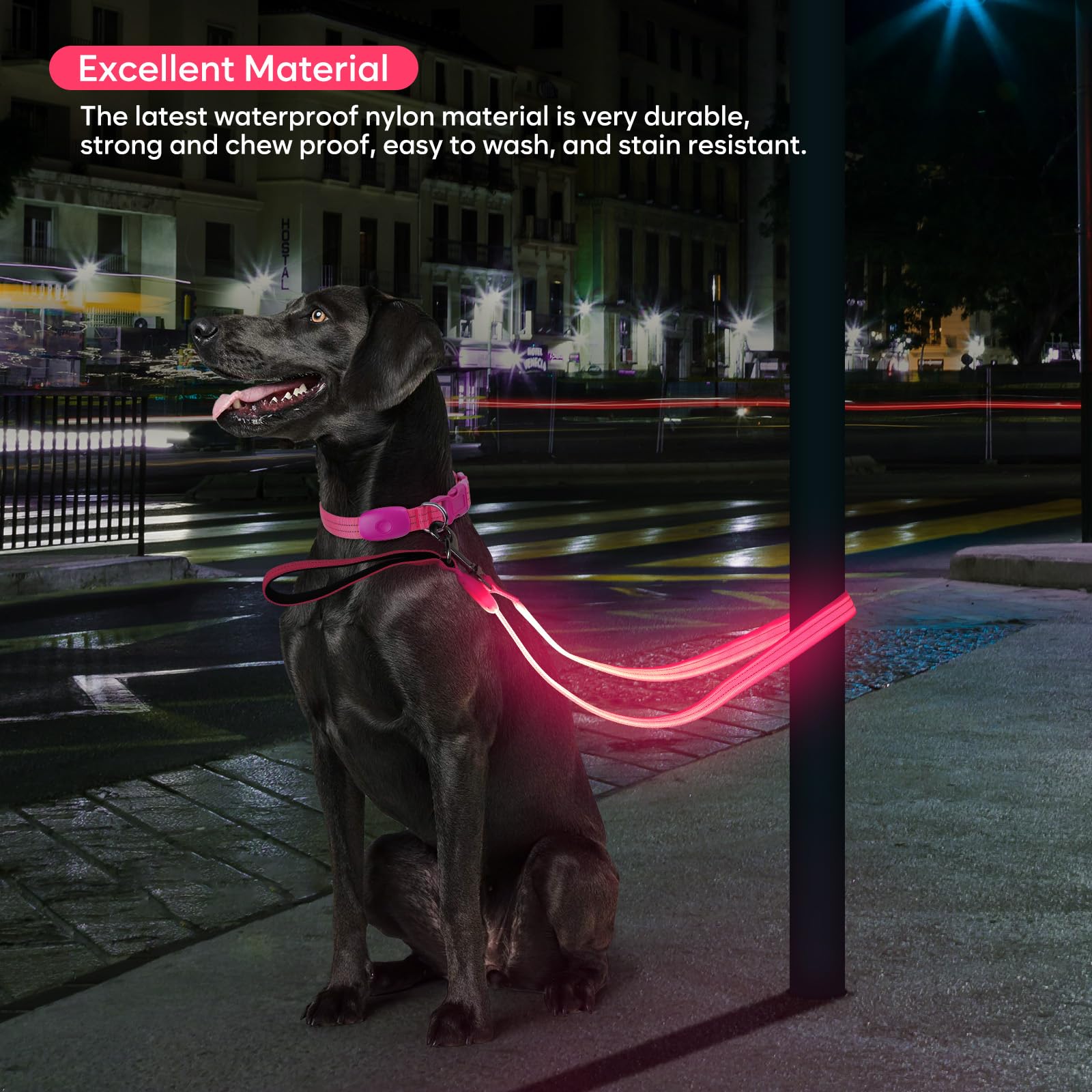 ChalkLit LED dog leash pink micro-USB charging for quick power