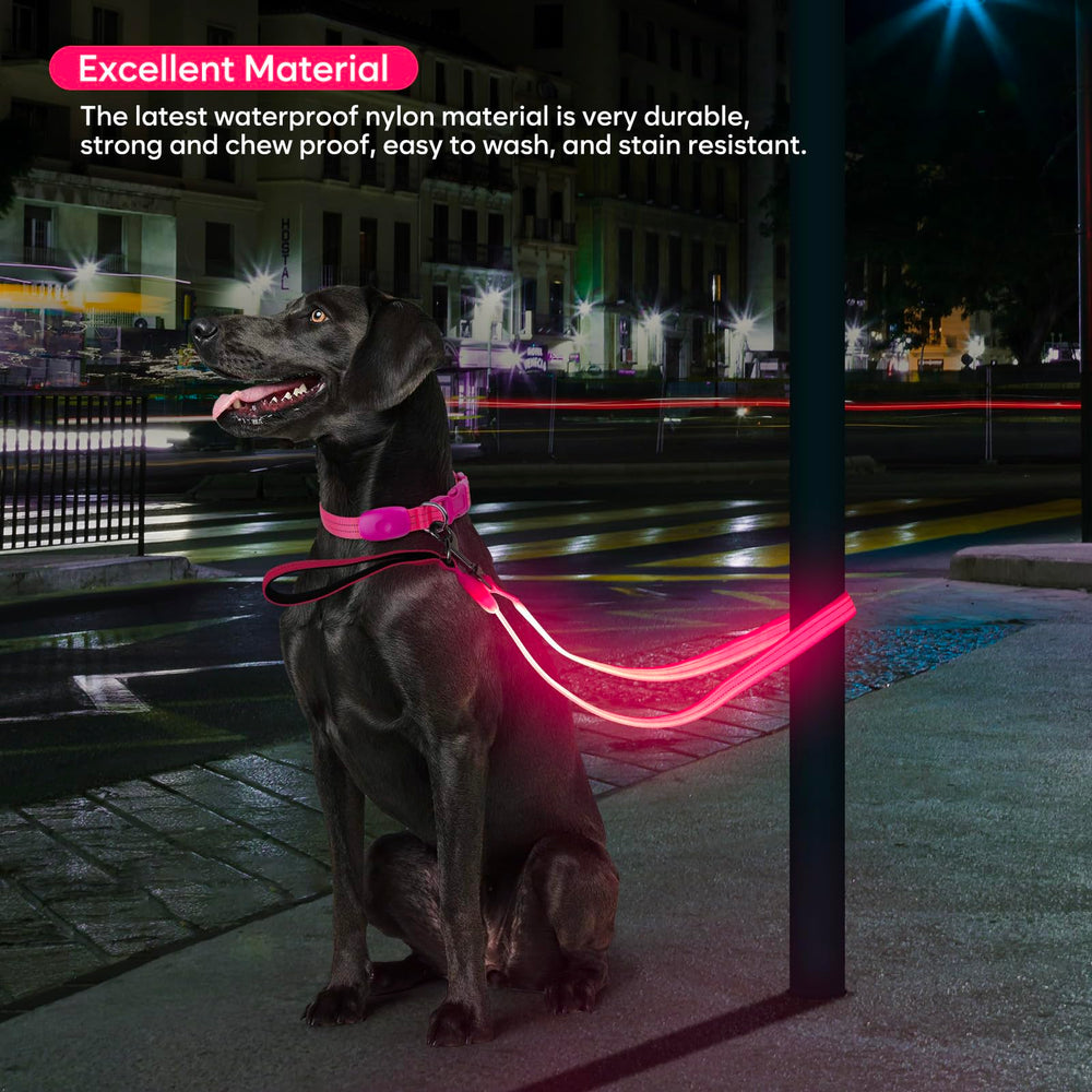 ChalkLit LED dog leash pink micro-USB charging for quick power