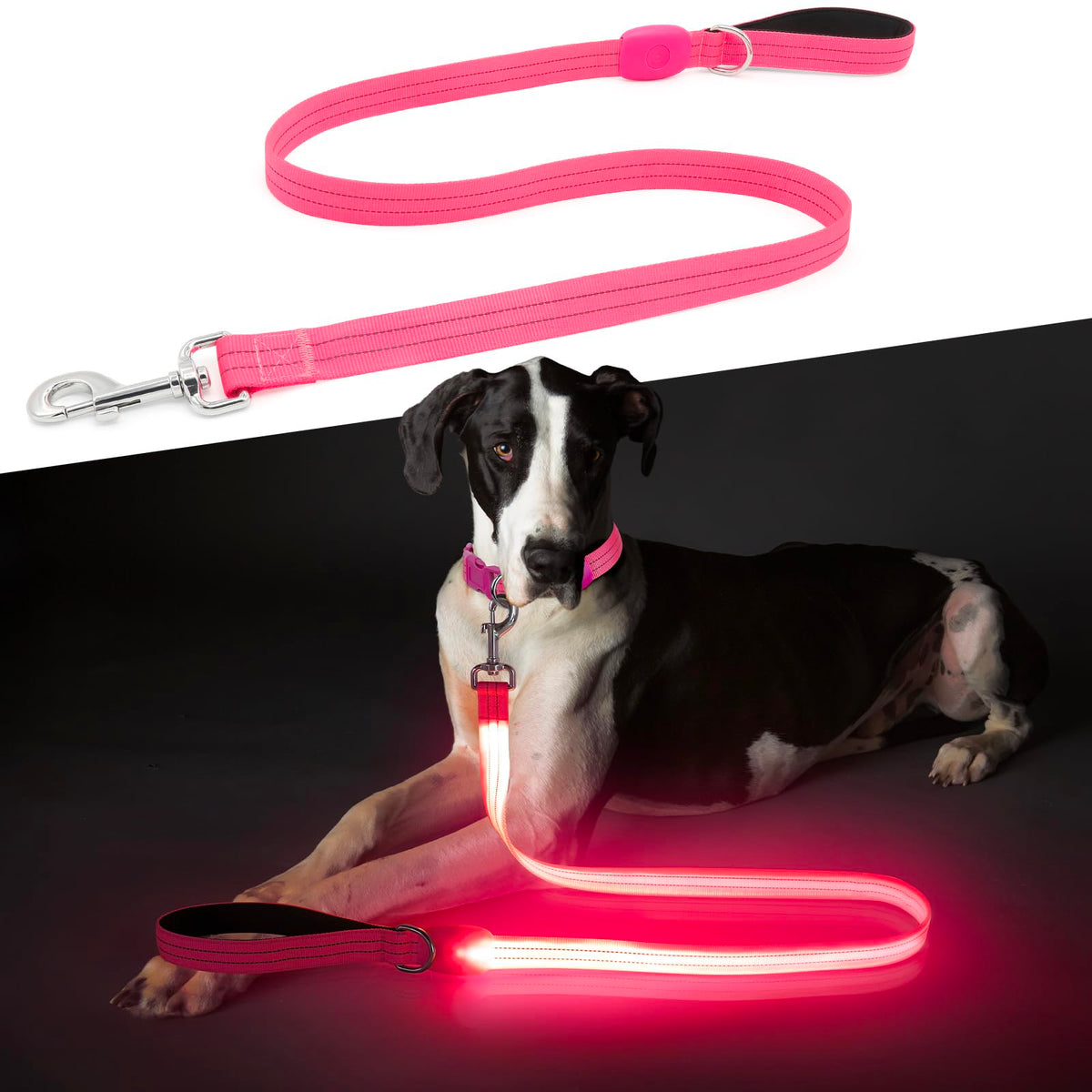 ChalkLit LED dog leash pink full view showing four-foot length