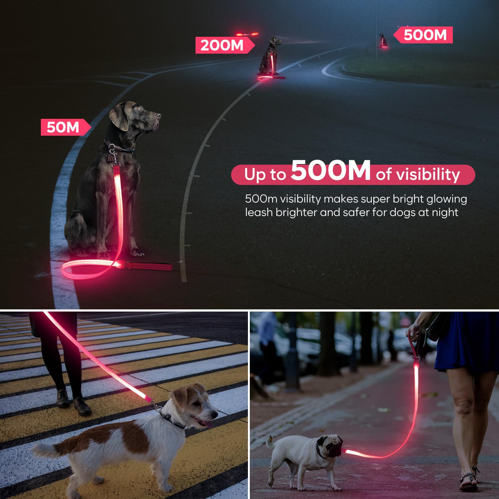 ChalkLit LED dog leash pink night walk visibility improves safety