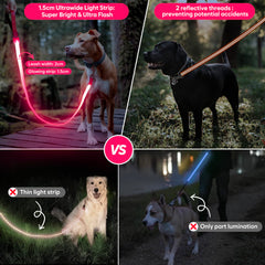 ChalkLit LED dog leash pink padded handle for comfortable grip