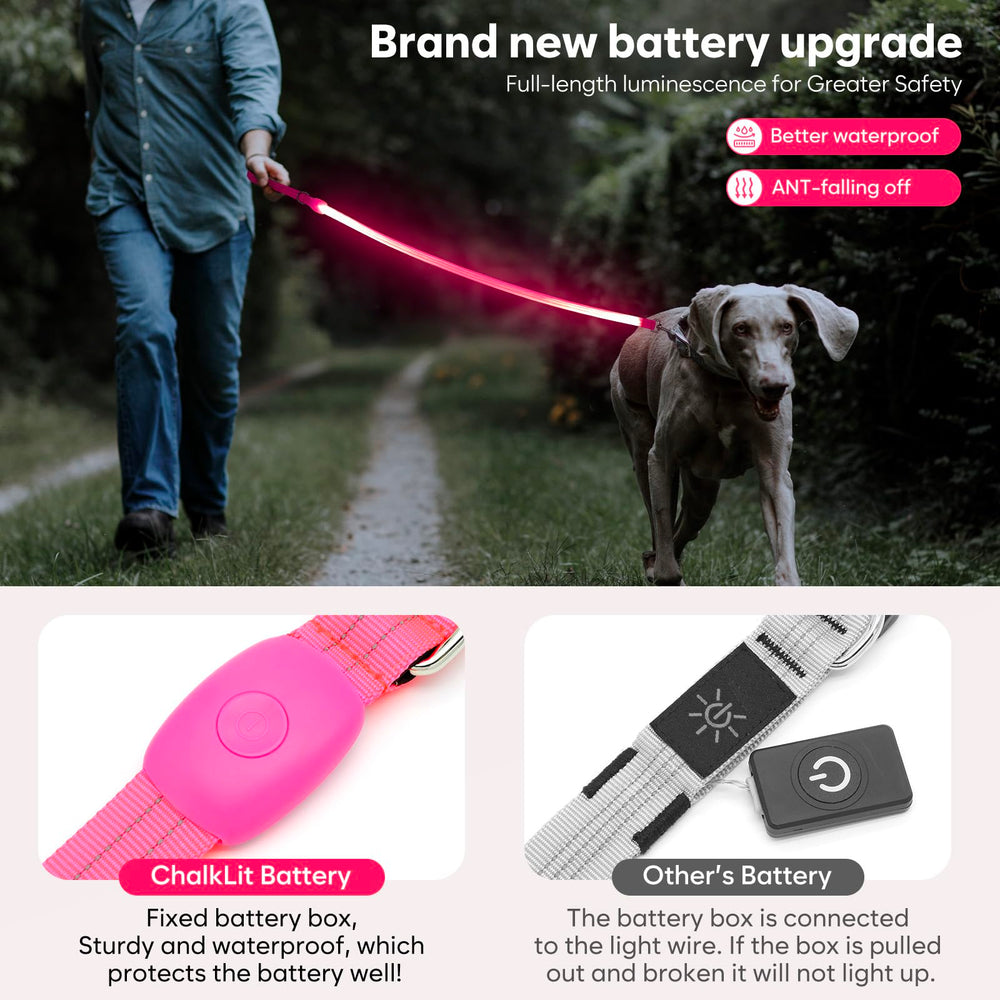 ChalkLit LED dog leash pink waterproof nylon withstands rain