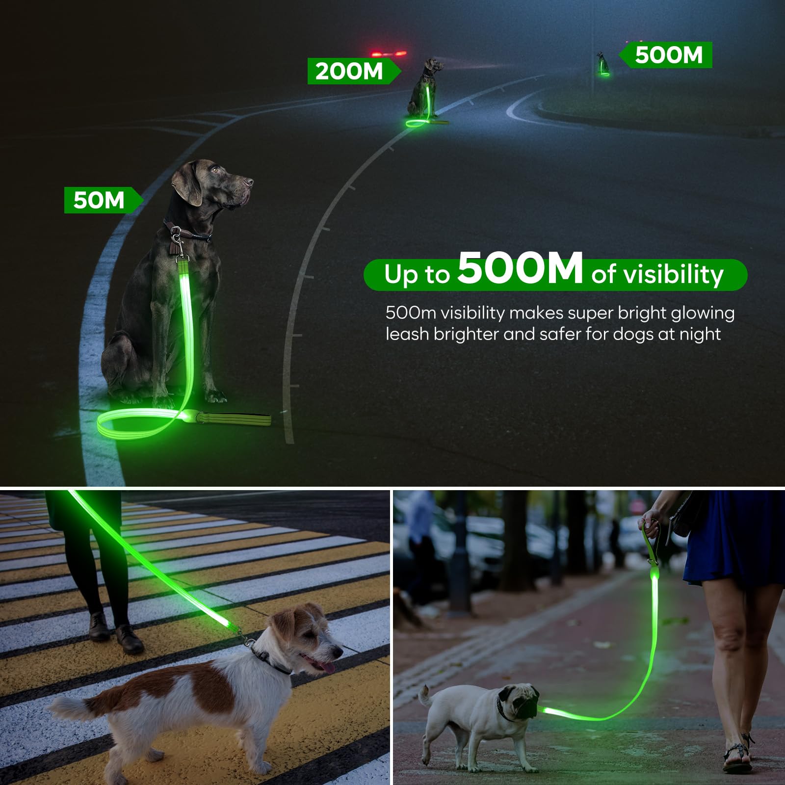 ChalkLit LED dog leash waterproof-nylon withstands rain and muddy paws