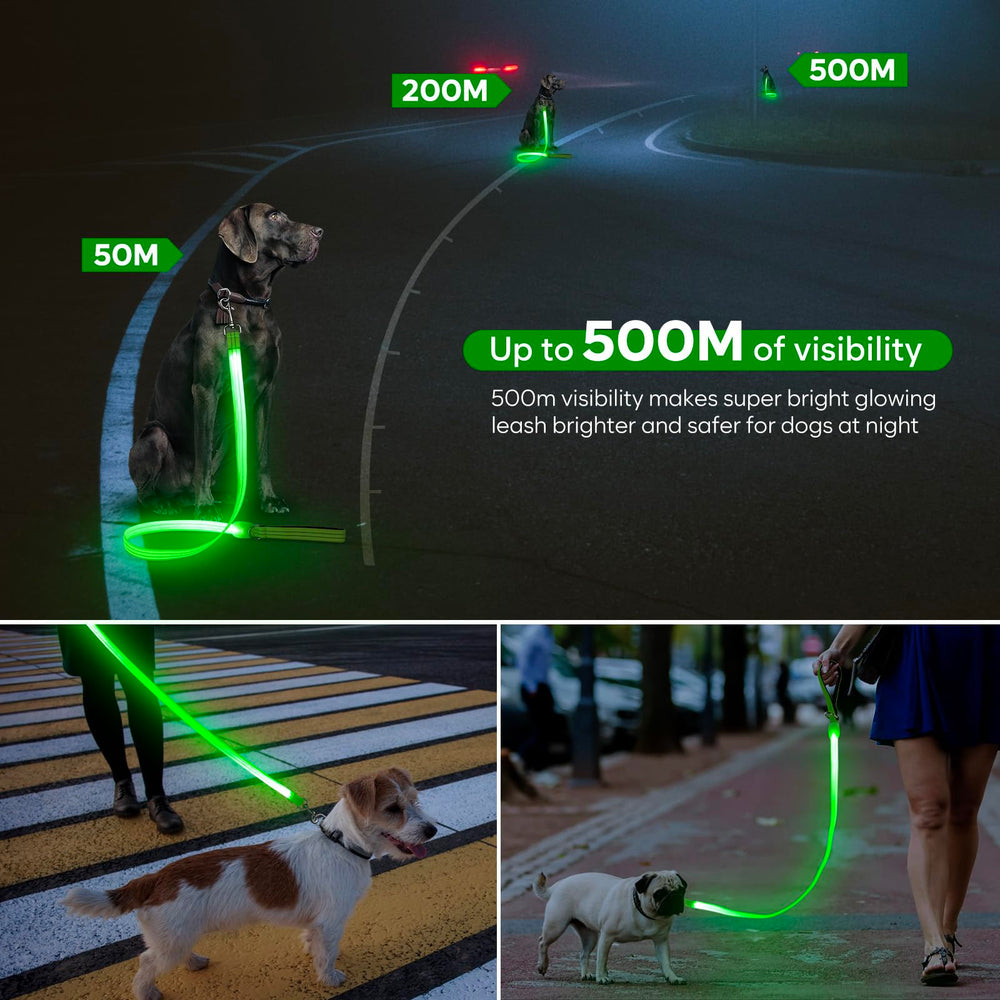 ChalkLit LED dog leash waterproof-nylon withstands rain and muddy paws