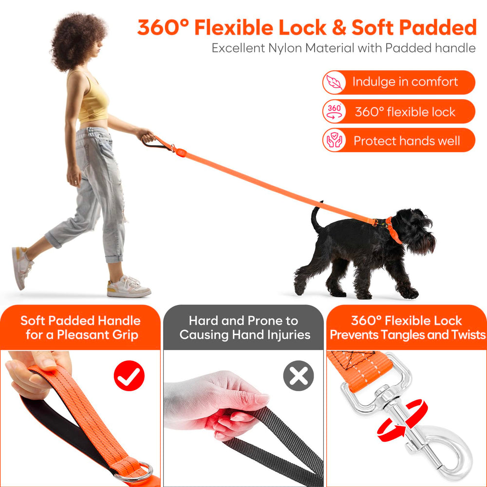 ChalkLit LED dog leash in waterproof nylon stands up to rain.
