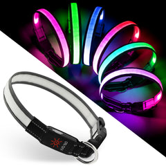 ChalkLit light-up dog collar with multicolor modes for vibrant night visibility.