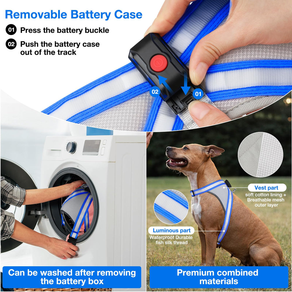 ChalkLit breathable mesh vest keeps dogs cool on outdoor adventures