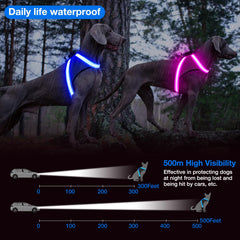 ChalkLit no-pull D-buckle design enables gentle control during training