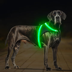 ChalkLit light-up harness with bright visibility for safer night walks