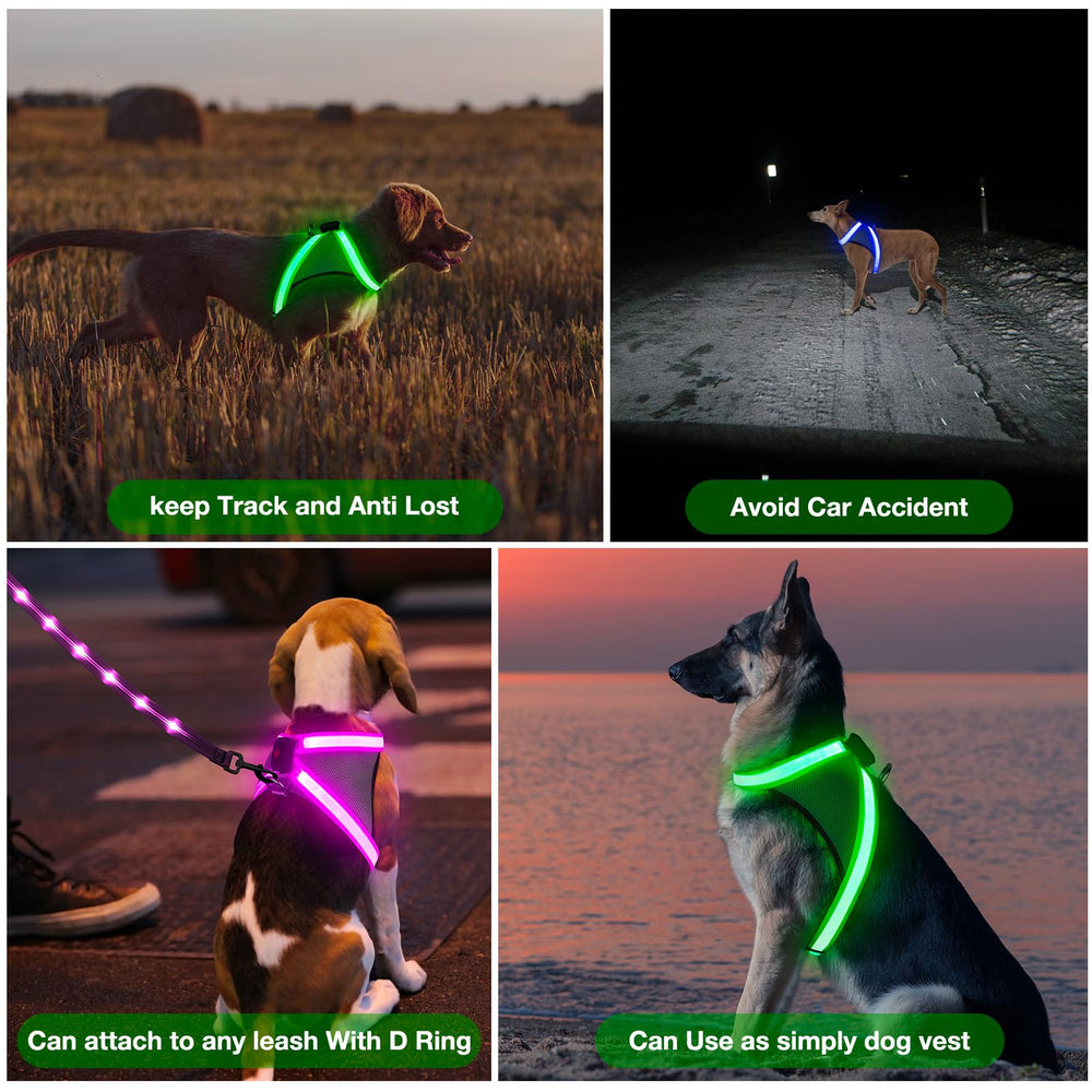 ChalkLit light-up harness with removable battery for easy cleaning