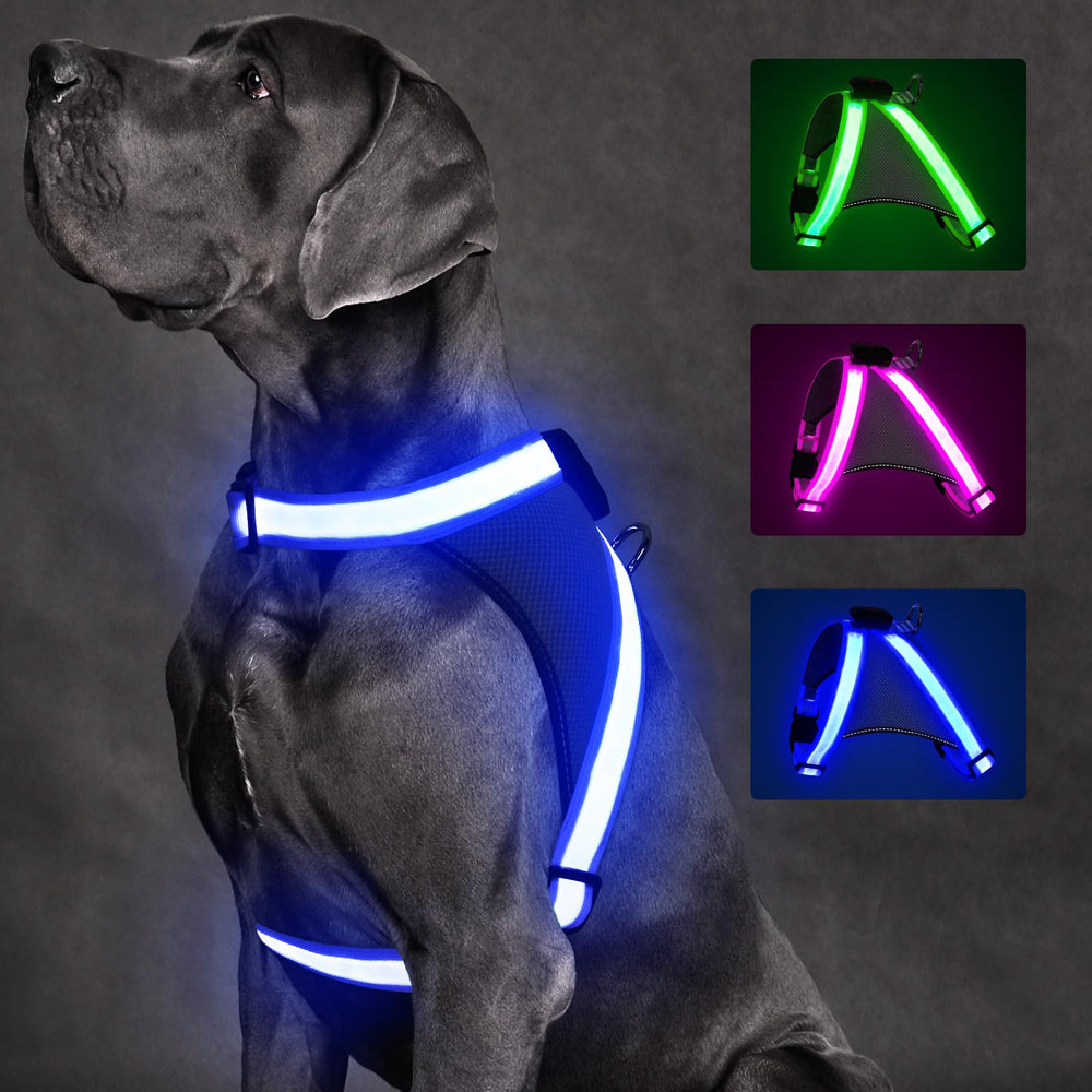 ChalkLit light up dog harness side view shows high visibility for nighttime safety.
