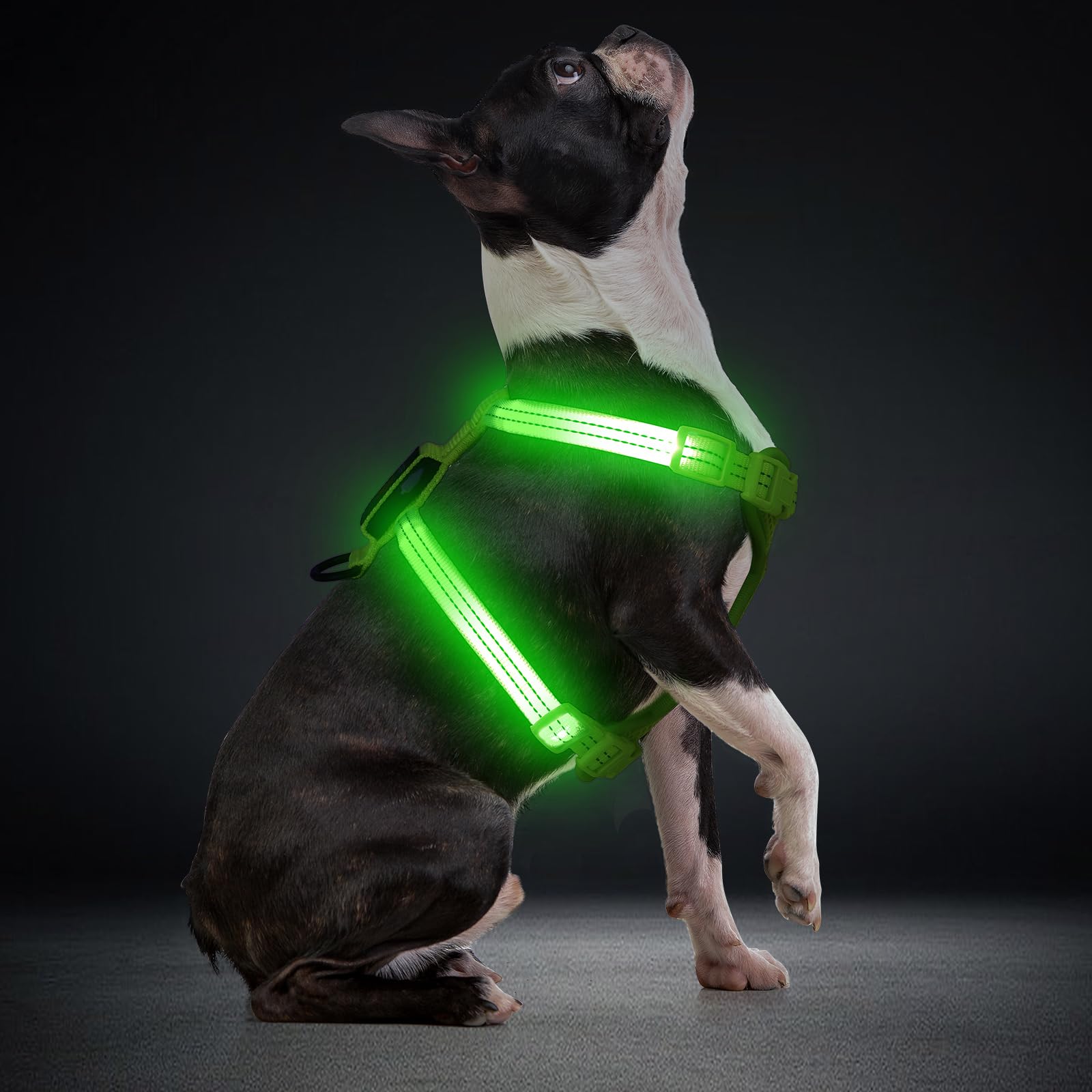 ChalkLit light-up harness shows 500ft visibility for night safety.