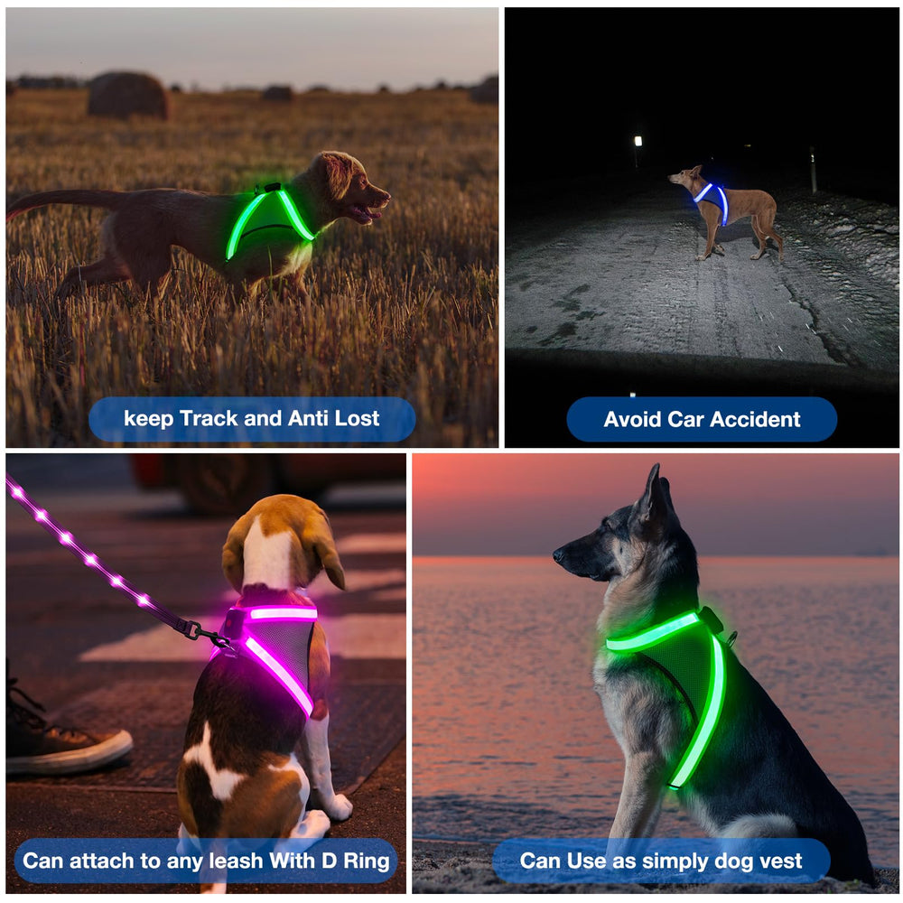 ChalkLit no-pull D-buckle design aids gentle control.