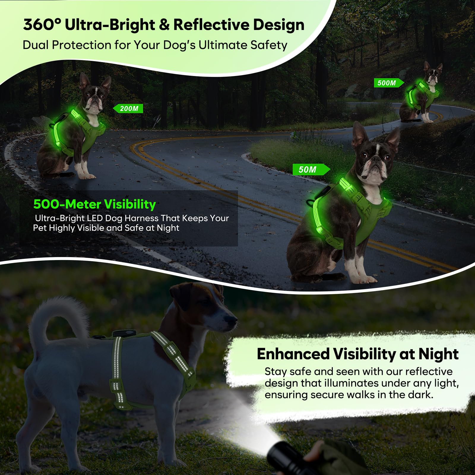 ChalkLit no-pull harness with D-ring for secure control.