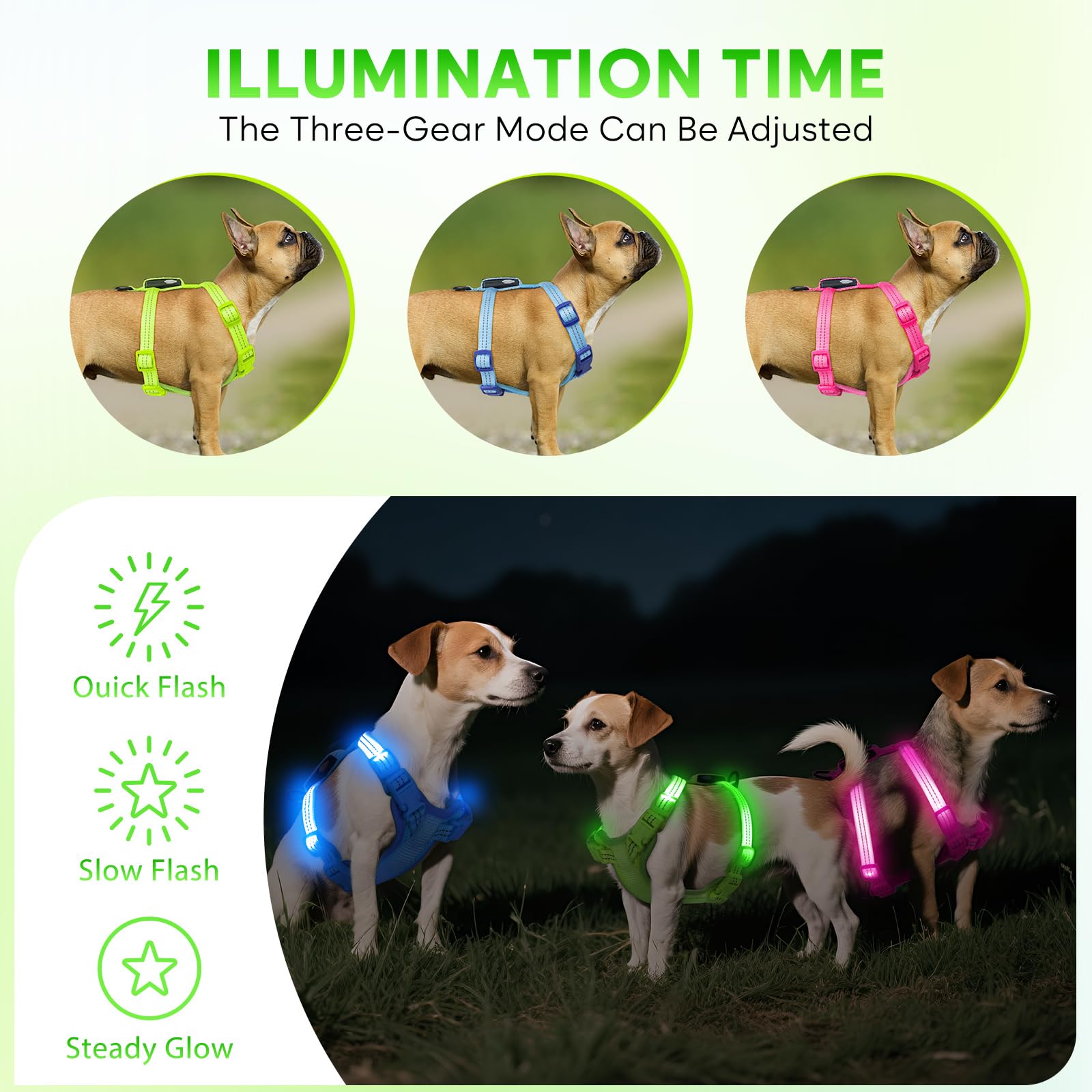 ChalkLit quick-on/off buckle harness for easy wearing.