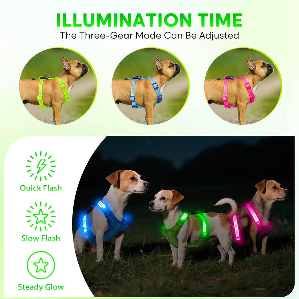 ChalkLit quick-on/off buckle harness for easy wearing.