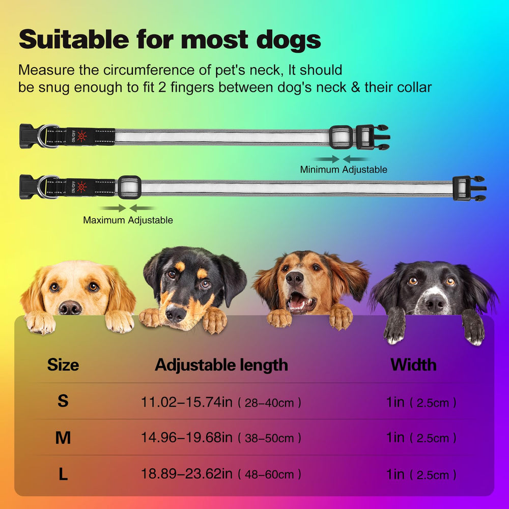 ChalkLit reflective edging enhances 360-degree visibility during dusk walks