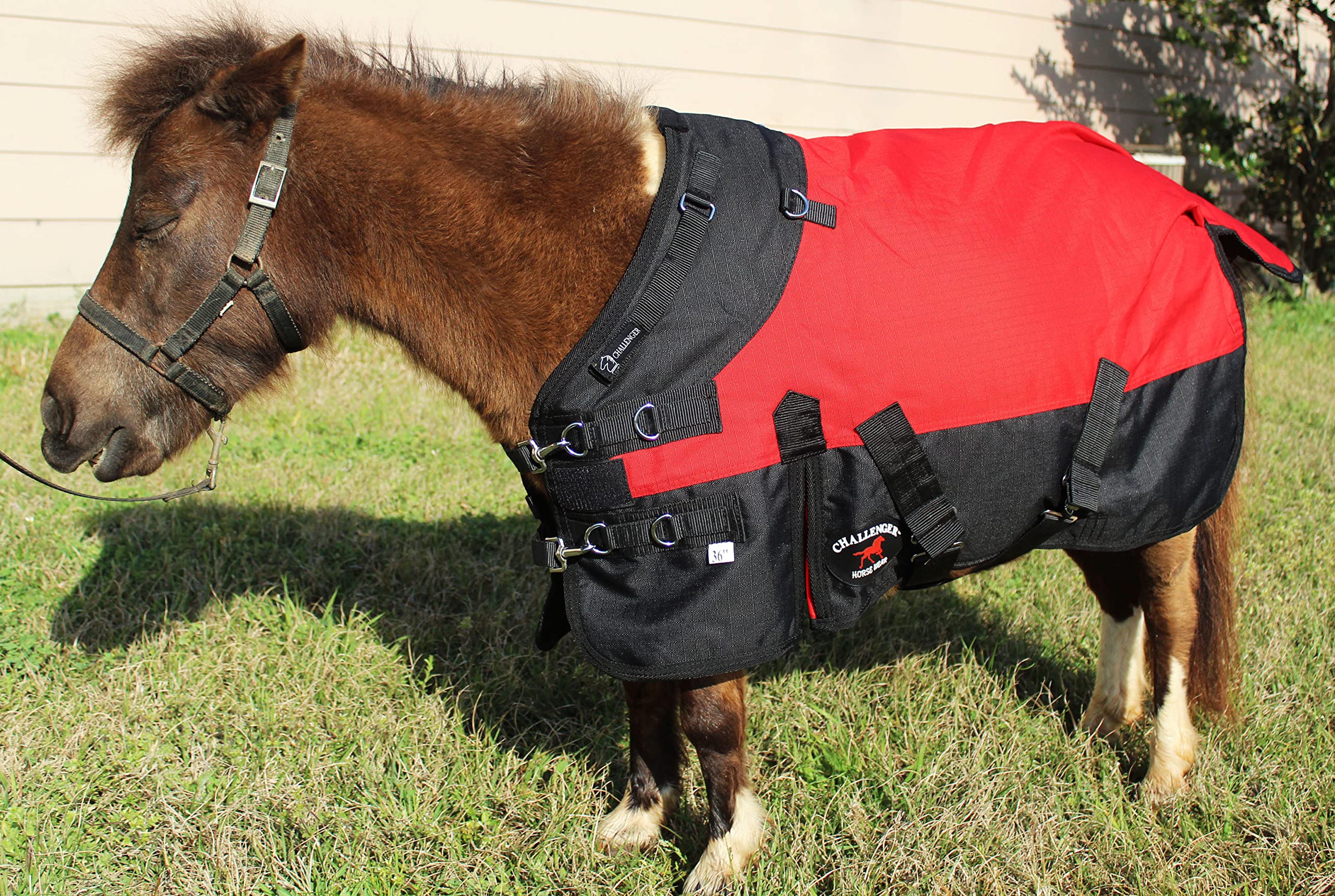 CHALLENGER elastic leg straps secure the blanket during movement