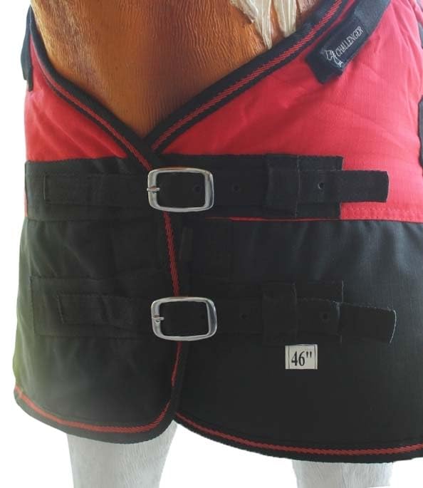 CHALLENGER foal turnout waterproof breathable blanket protects in wet conditions