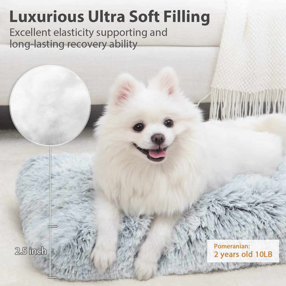 CHAMPETS washable dog bed showing waterproof surface to keep paws dry