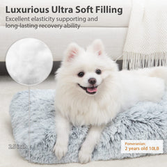 CHAMPETS washable dog bed showing waterproof surface to keep paws dry