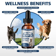 CHANUBITO Pets hemp oil close-up highlighting USA-grown organic hemp and nutrients