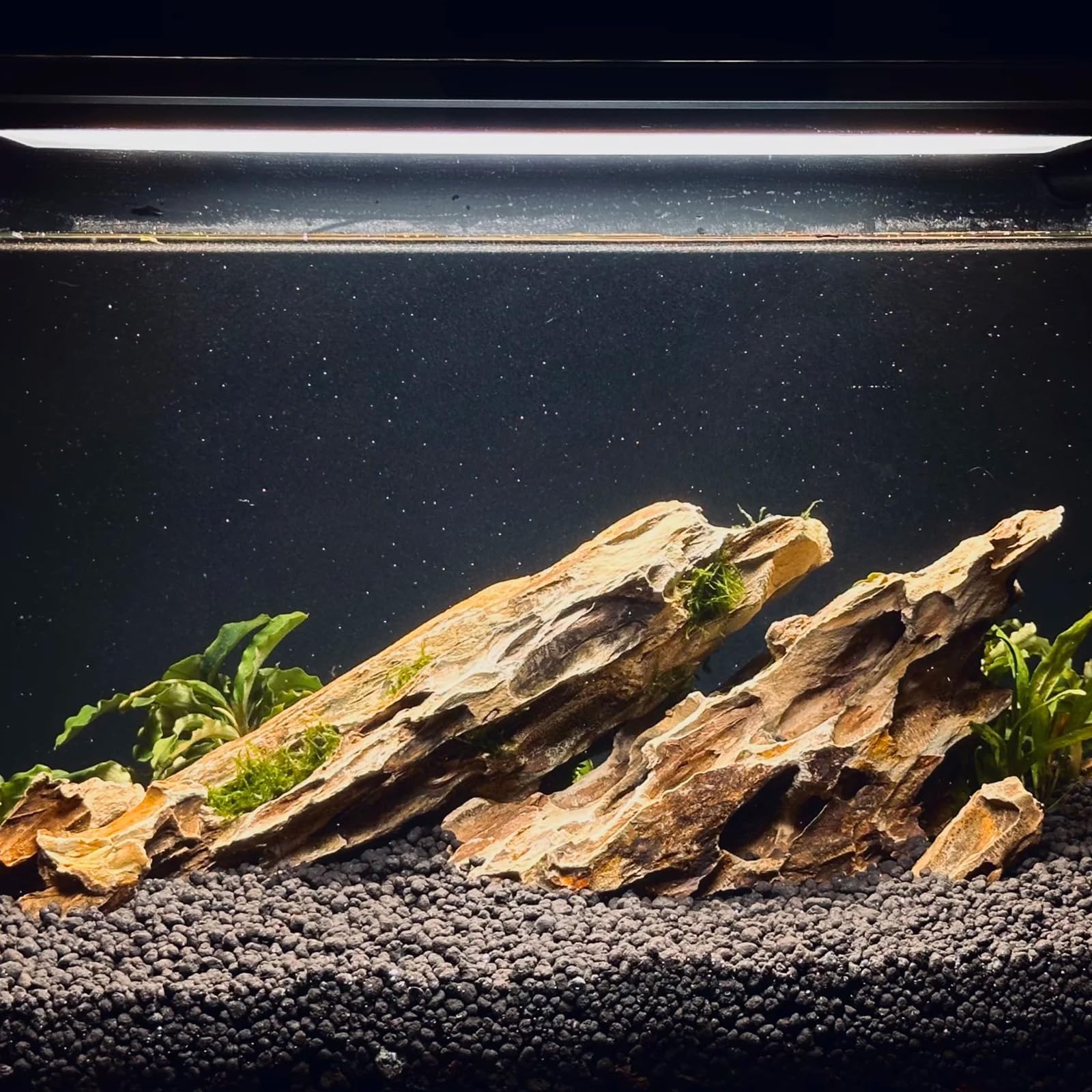 ChaoLeHo Dragon Stone mountain-cliff-cave decor for natural habitats
