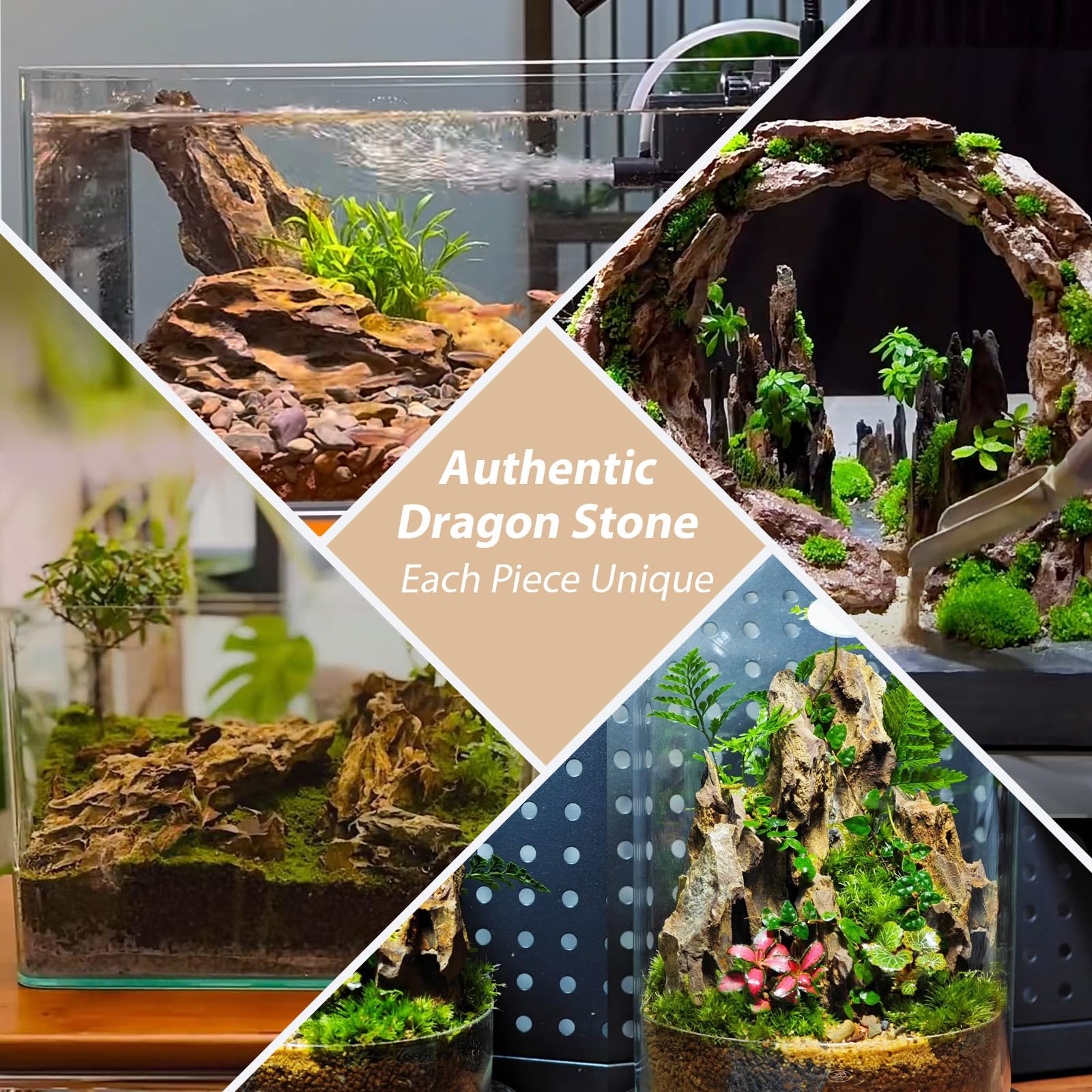 ChaoLeHo Dragon Stone safe-for-aquariums supports aquatic decor