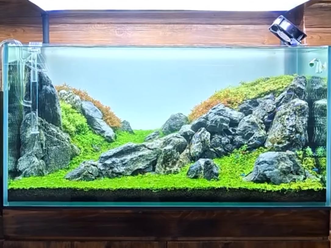 ChaoLeHo Seiryu stones ideal for aquariums, dioramas, and plant habitats.