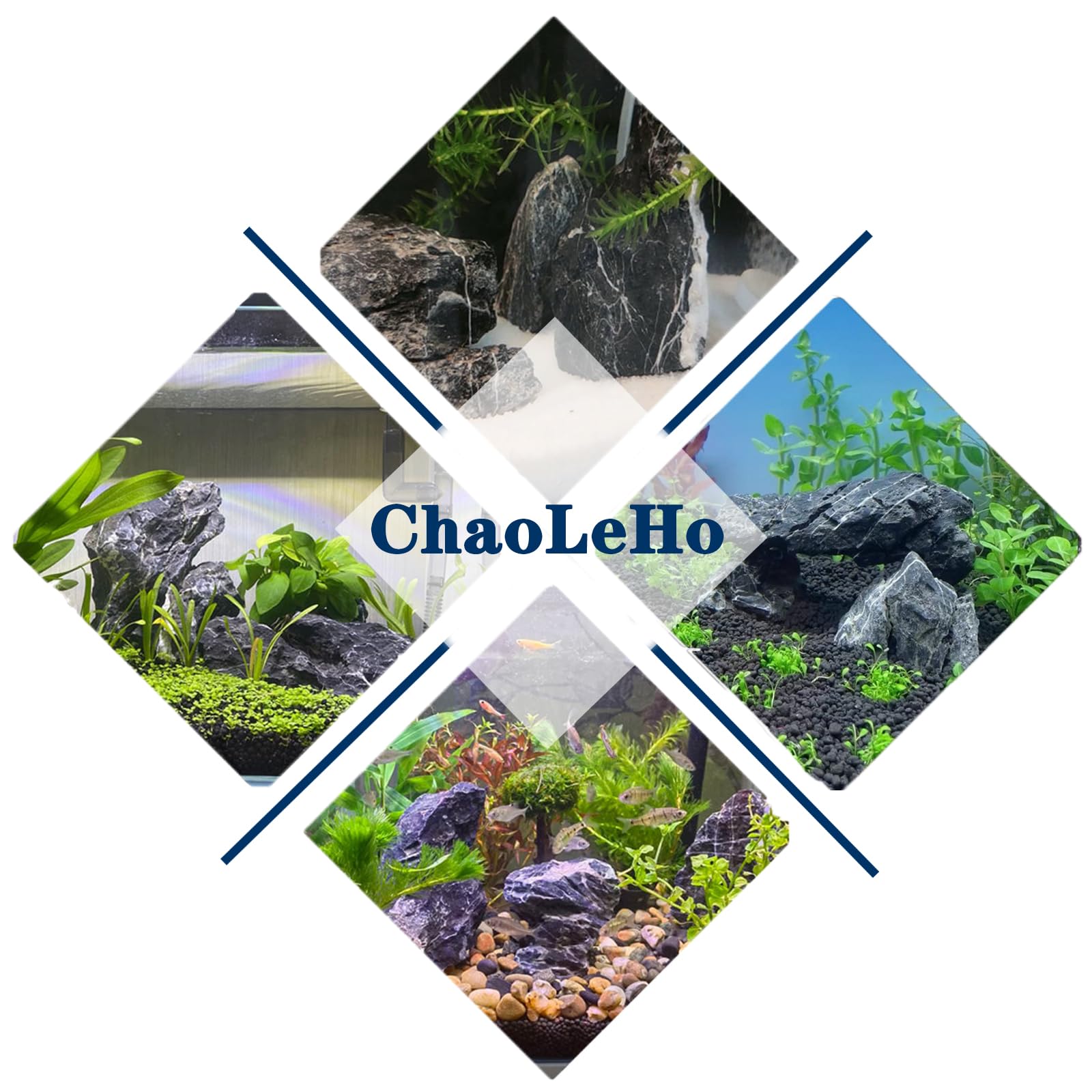 ChaoLeHo Seiryu stones are easy to clean, saving maintenance time.