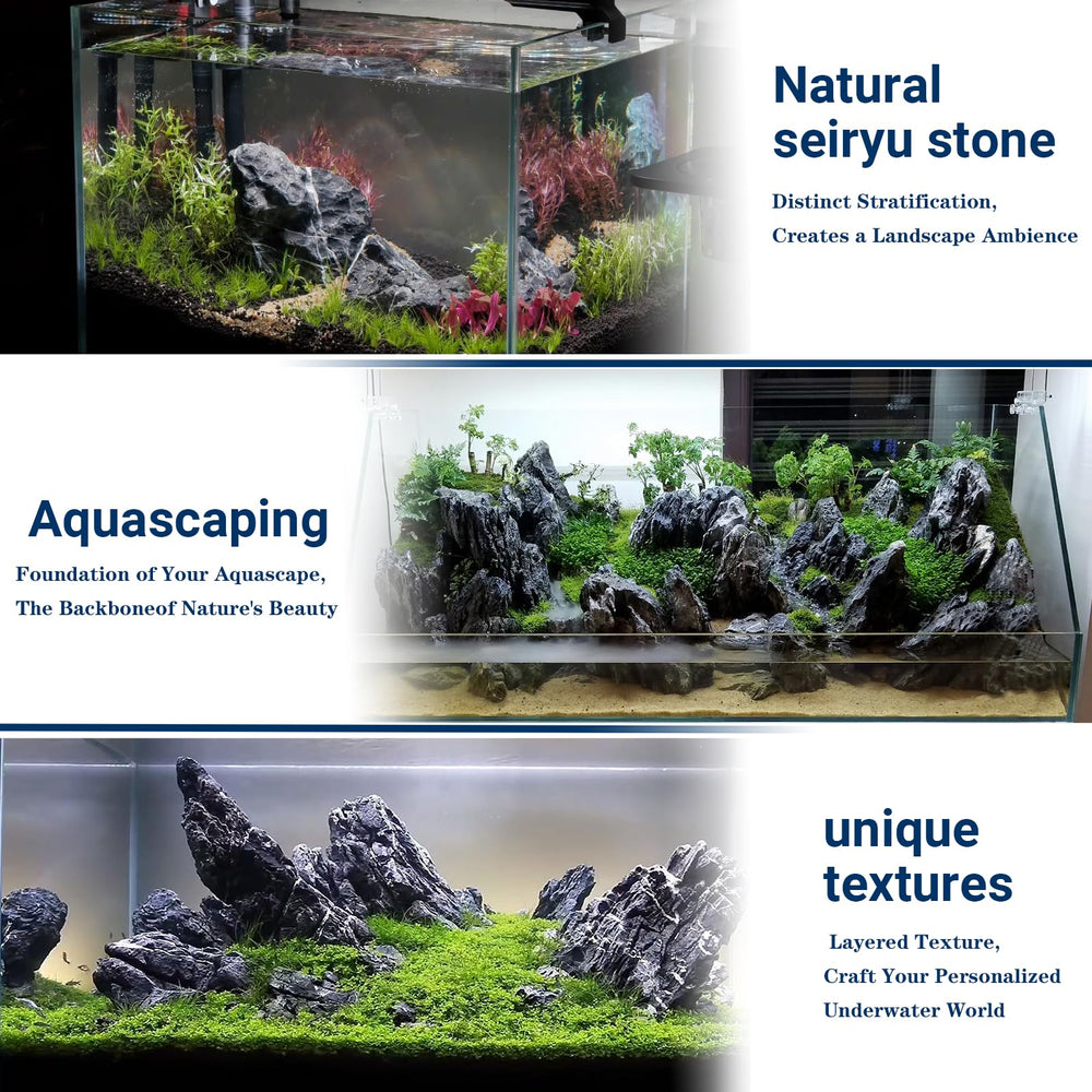 ChaoLeHo Seiryu stones provide water-safe surfaces for fish health.