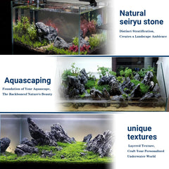 ChaoLeHo Seiryu stones provide water-safe surfaces for fish health.