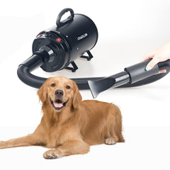 CHAOLUN dog dryer nozzles focus airflow for precise drying.