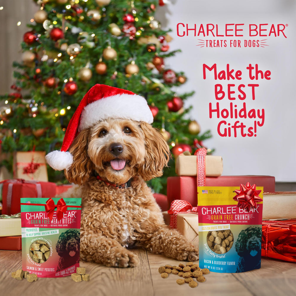 Charlee Bear training treats crunchy texture emphasizes satisfying bite during daily rewards