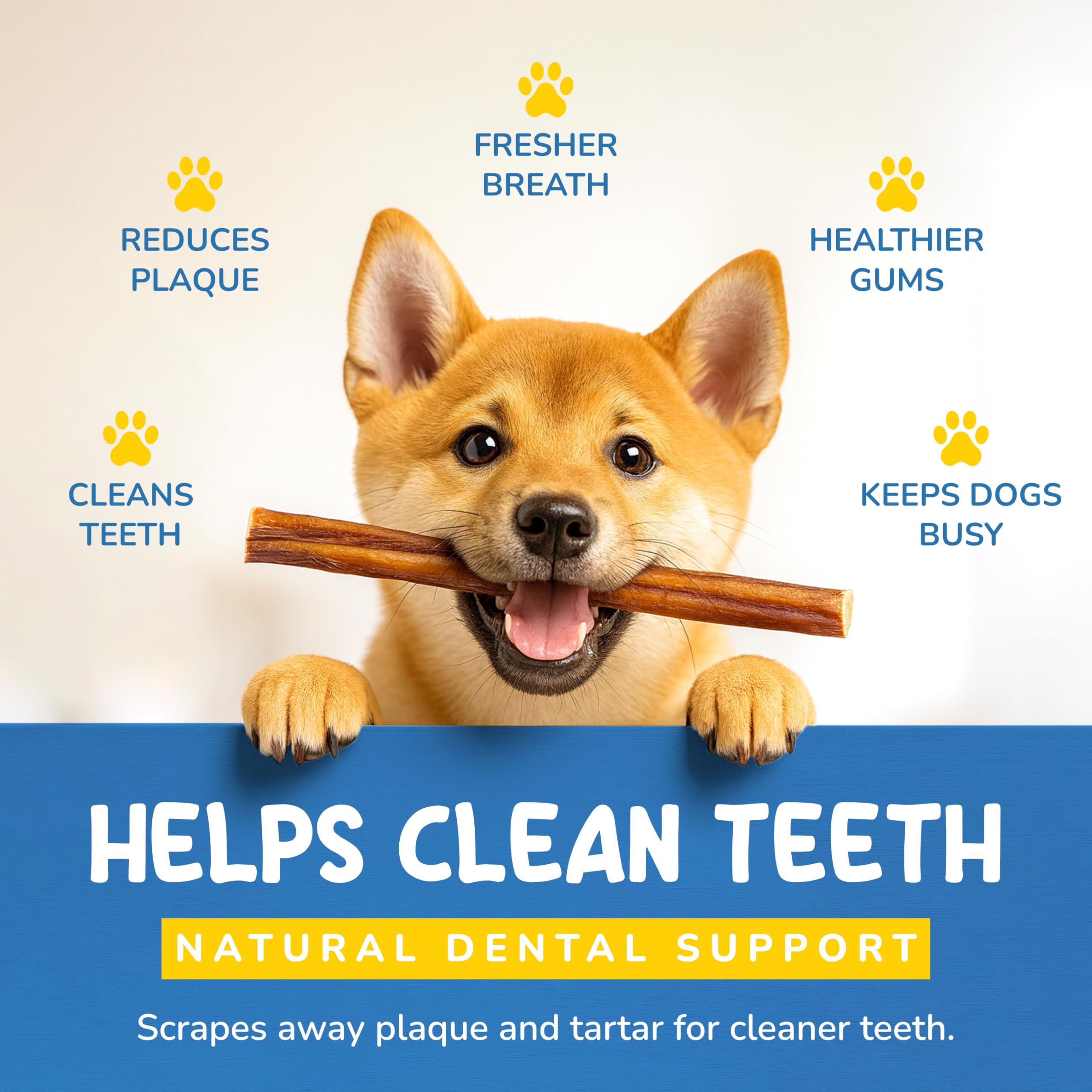 CHARLEY & ME durable chew suitable for aggressive chewers in action.