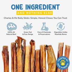 CHARLEY & ME USA-made bully sticks on display, emphasizing American sourcing.