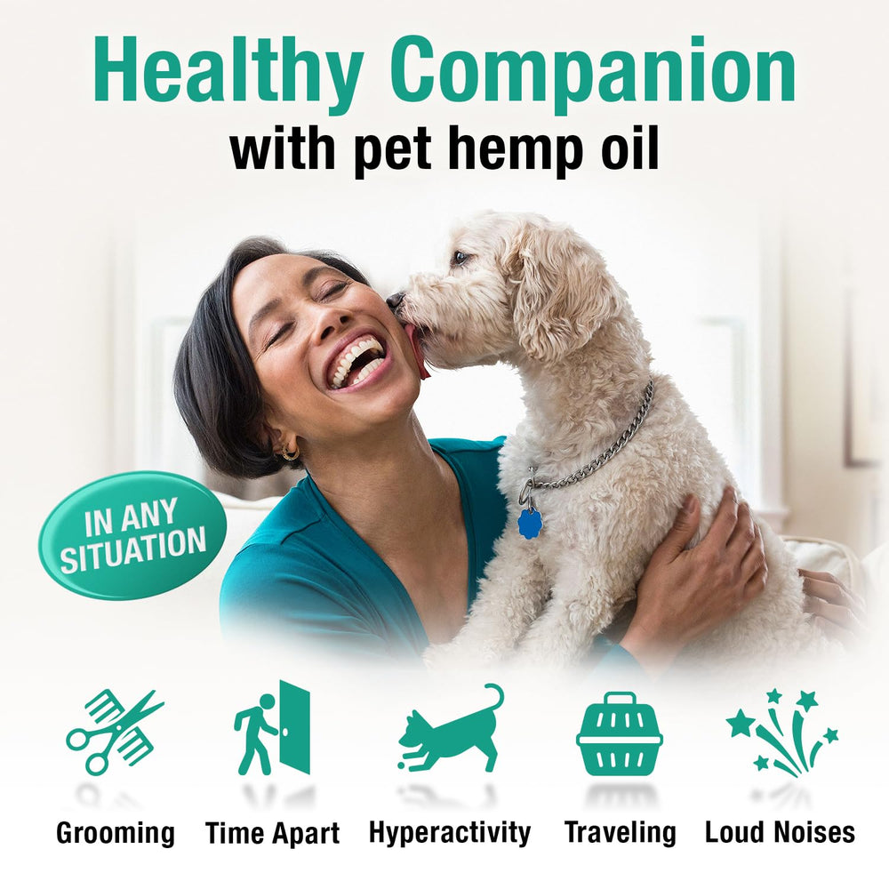 Charlie and Buddy hemp oil bottle on cozy pet bed for comfort