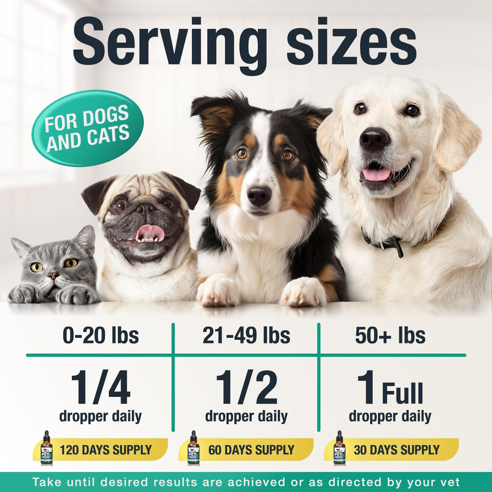 Charlie and Buddy hemp oil cat dose in food for gentle support