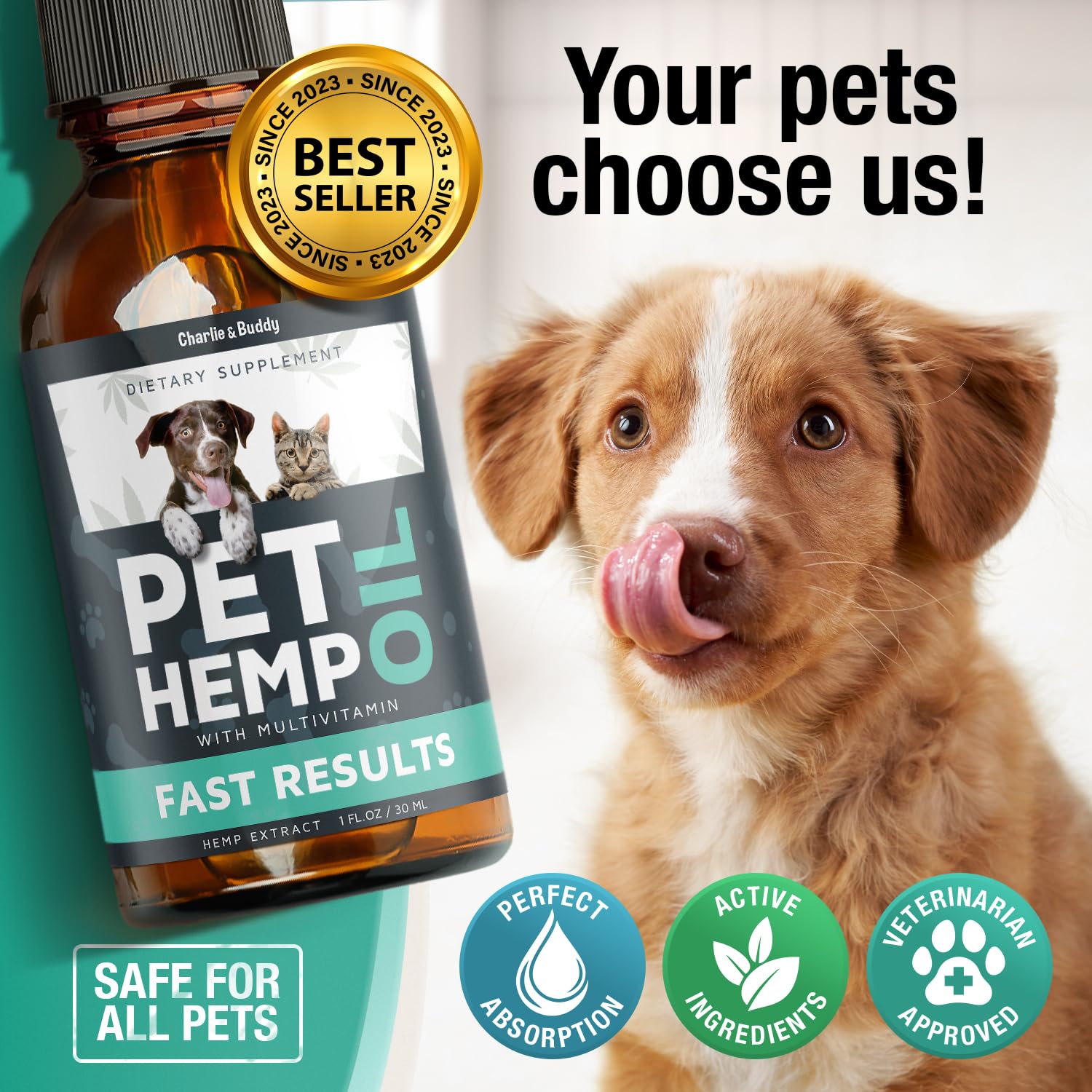 Charlie and Buddy hemp oil label closeup highlighting ingredients and safety