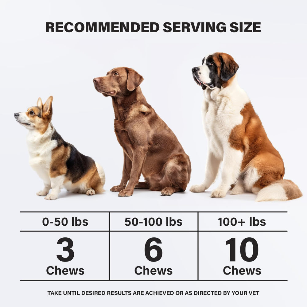 Charlie & Buddy 90 soft chews package ready for daily anxiety relief