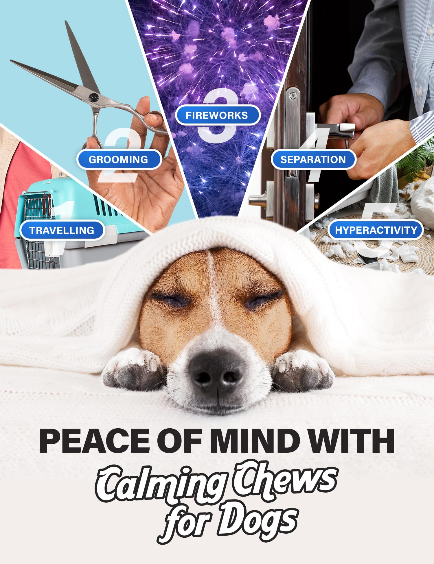 CHARLIE & BUDDY calming chews chamomile blend close-up promoting relaxed moments during vet visits