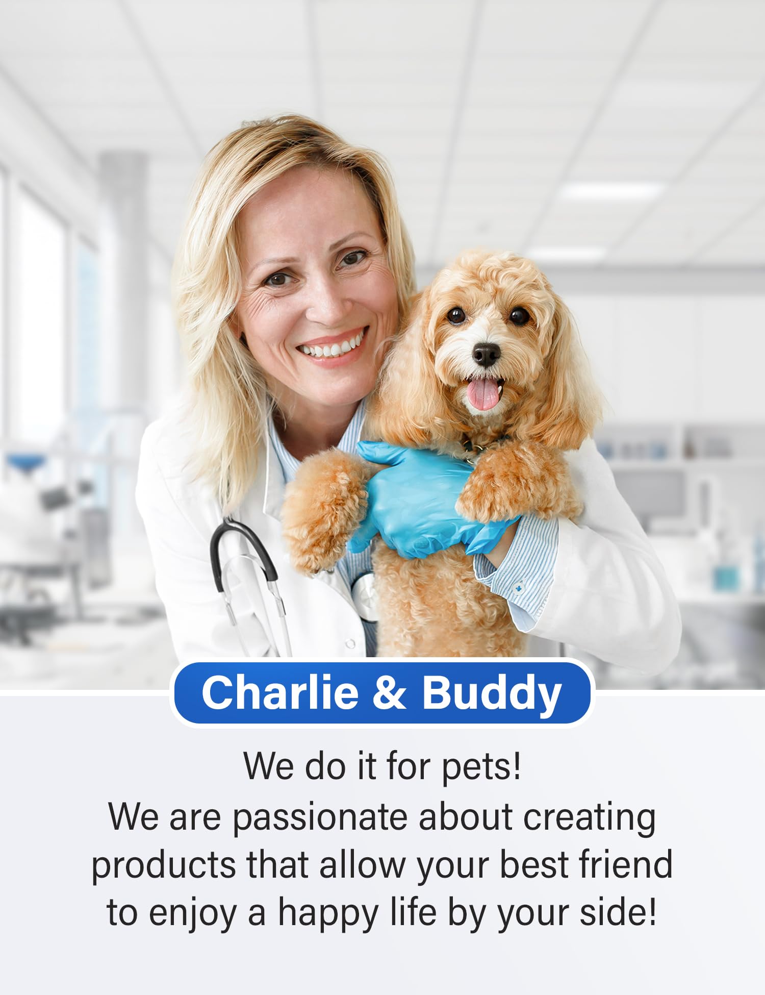 CHARLIE & BUDDY calming chews premium ingredients close-up highlighting chamomile and magnesium citrate