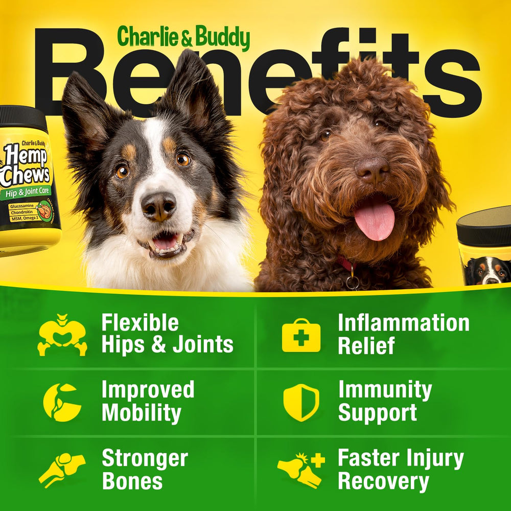 CHARLIE & BUDDY chicken-flavor dog joint chews entice daily use.