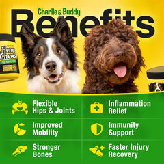 CHARLIE & BUDDY chicken-flavor dog joint chews entice daily use.