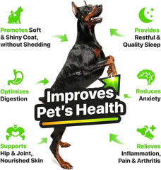 CHARLIE & BUDDY dog coat shines after using hemp-salmon oil